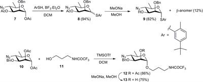 New synthesis of oligosaccharides modelling the M epitope of the Brucella O-polysaccharide
